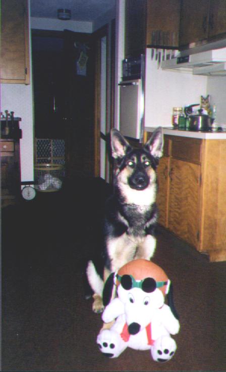 Snoopy and Samson